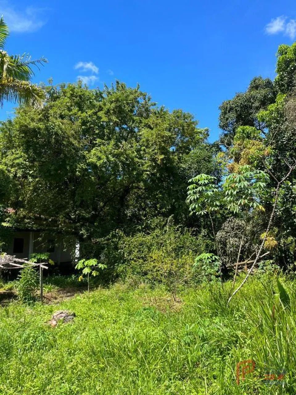 Área à venda, 40.000 m² por R$ 8.000.000,00 - Maiobinha - São Luís/MA - Foto 8
