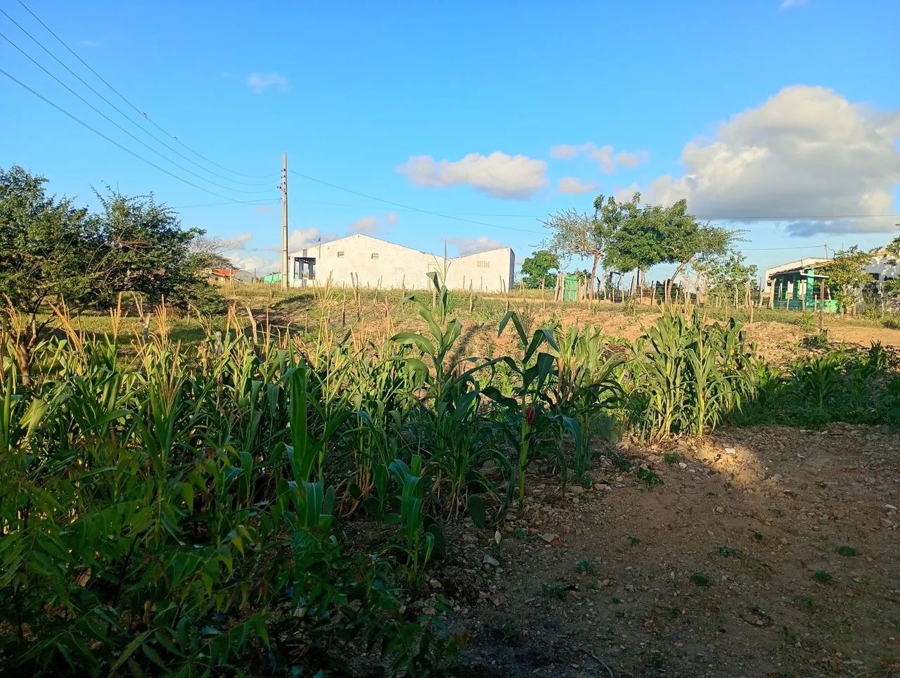 Vende-se Casa no Bom Jardim - Interior de Poço Verde - Foto 4
