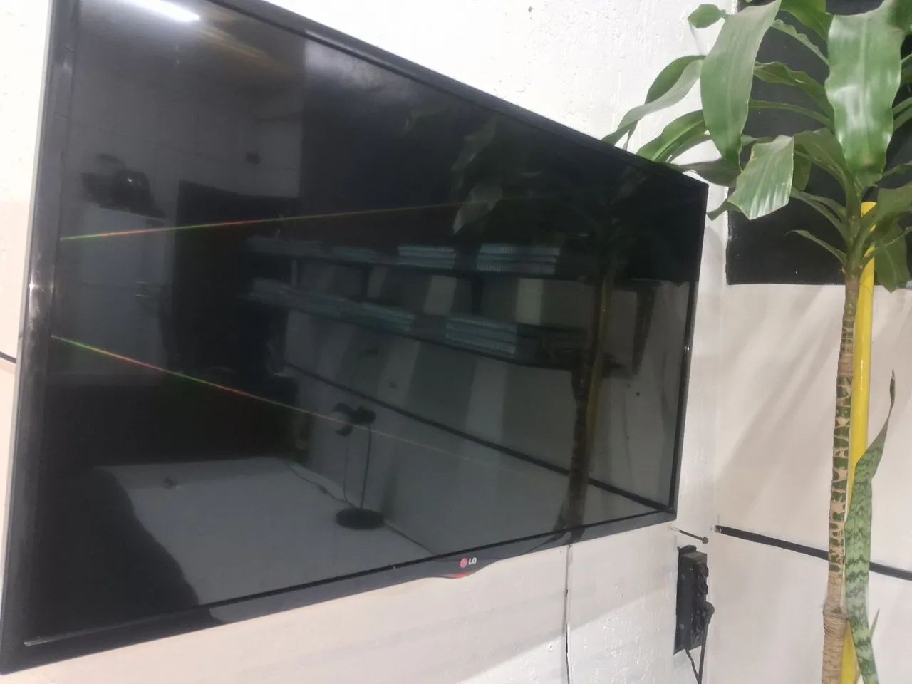 TV 42  - Foto 2