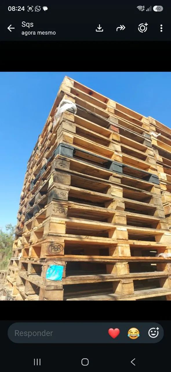 Pallet PBR - Foto 2