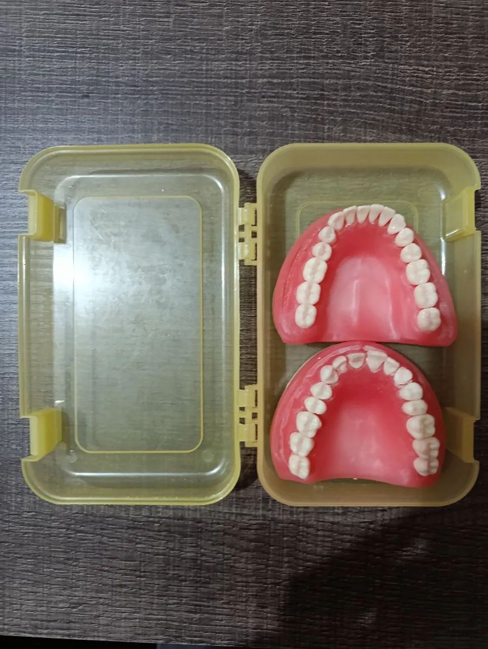 Manequim de  odontologia 