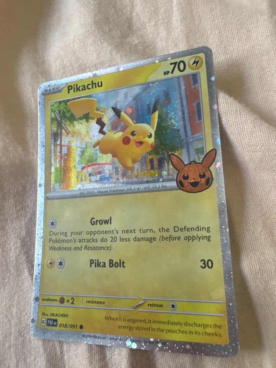 Pokémon pikachu colecionador