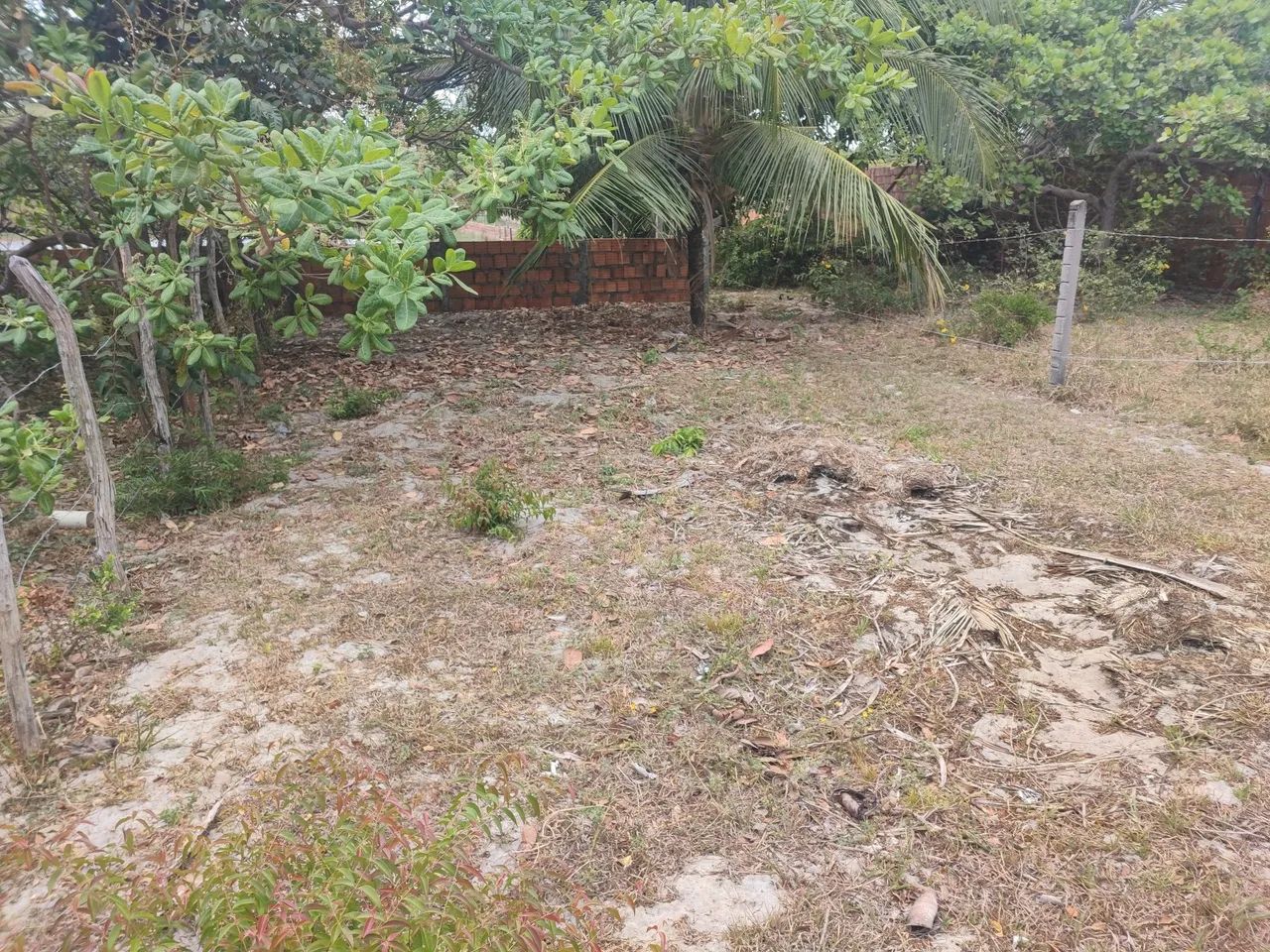 Vendo terreno em paracuru  - Foto 4