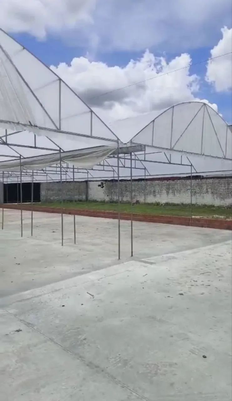 Vendo estrutura/Secador444757378189250562