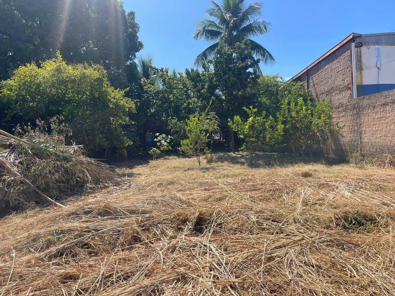 Terreno comercial no bairro CPA II a venda - Foto 4