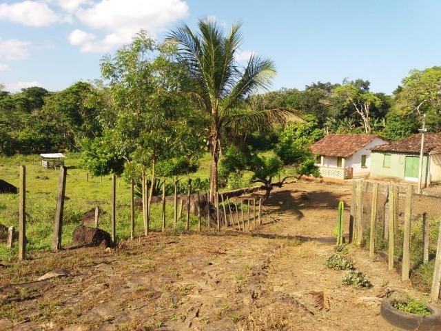 Fazenda no Jardim Grapiúna - Foto 6