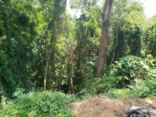 Terreno à venda, 768 m² por R$ 85.000,00 - São Vicente - Mairiporã/SP - Foto 3