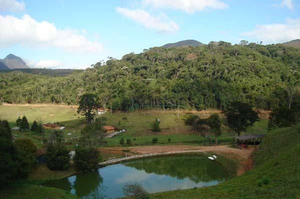 Sítio rural à venda, Colônia Alpina, Teresópolis. - Foto 17