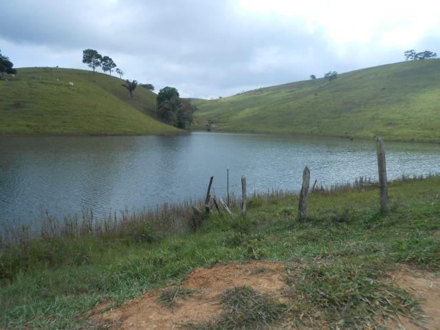 Fazenda de pecuária - Foto 5