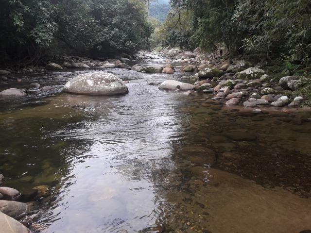 Jordão Corretores - Terreno ecológico Guapiaçu - Foto 4