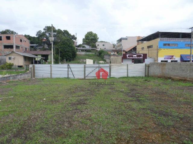 Terreno Comercial para Locação na Vila Santa Terezinha em Almirante Tamandaré - Foto 5