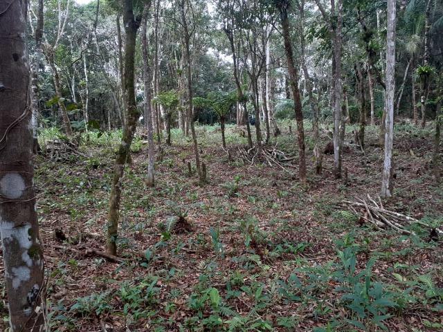 Chacara com 6,156 mts - Foto 7