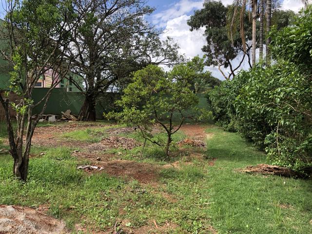 Excelente lote comercial 400 m rua 8 Vicente Pires - Foto 14