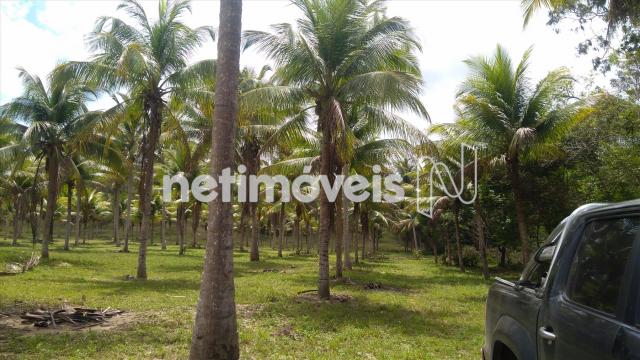 Sítio à venda em Arembepe, Camaçari cod:783794 - Foto 17