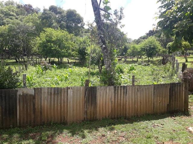Linda Chácara 24.200 m2 ( 1 Alqueire) com 2 Casas - Palmas PR - Foto 12