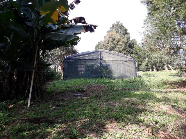 Chácara em Contenda - Urbana - Foto 14