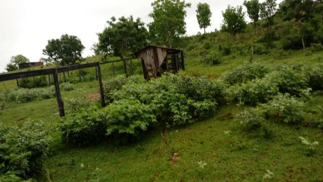 Fazenda próximo a BR 070 a 100km de Várzea Grande - Foto 6