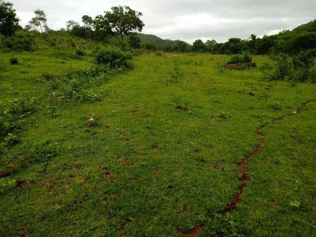 Fazenda próximo a BR 070 a 100km de Várzea Grande - Foto 4