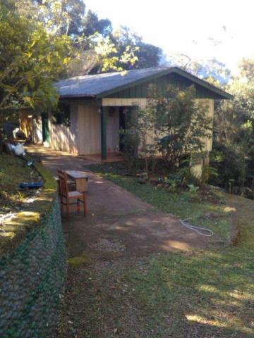 Sítio com 2 dormitórios à venda, 200000 m² por r$ 350.000,00 - santa terezinha - canela/rs - Foto 17