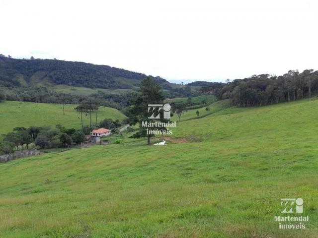 Sítio à venda com 3 dormitórios em Alto limeira, Alfredo wagner cod:851 - Foto 4