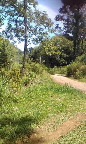 Sítio com 2 dormitórios à venda, 200000 m² por r$ 350.000,00 - santa terezinha - canela/rs - Foto 14