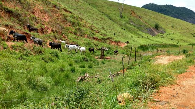 Fazenda de 40 Alqueires - Foto 9