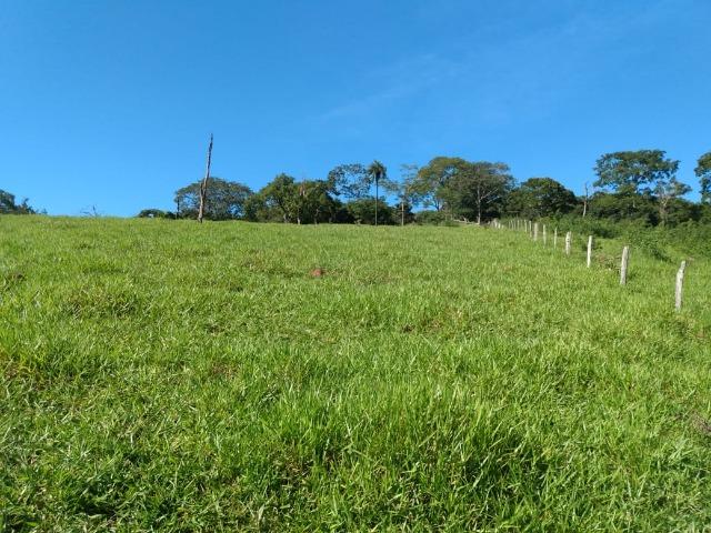 Fazenda no município de Bonfinópolis 24 alqueires - Foto 9