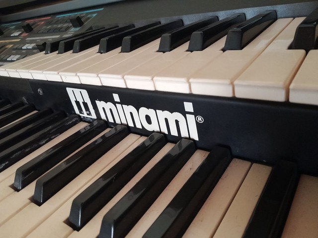 ÓRGÃO ELETRÔNICO MINAMI MDX - 8100 SÉRIE OURO - Instrumentos