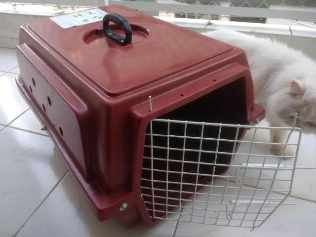 caixa de transporte de animais em fibra, usada uma ínica vez.