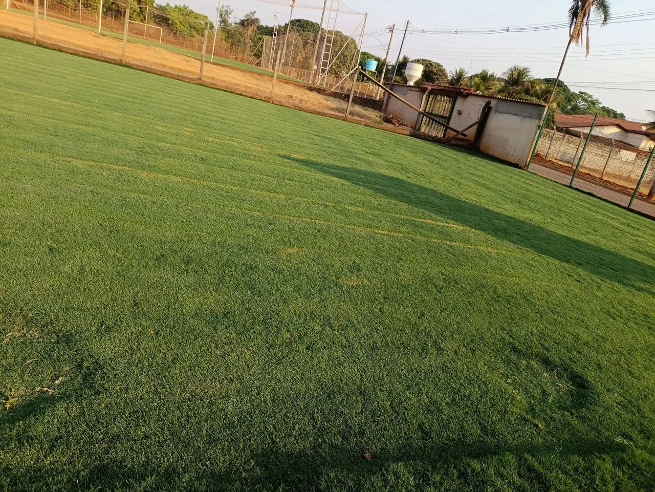 Bermuda celebration a melhor do mercado  - Foto 3