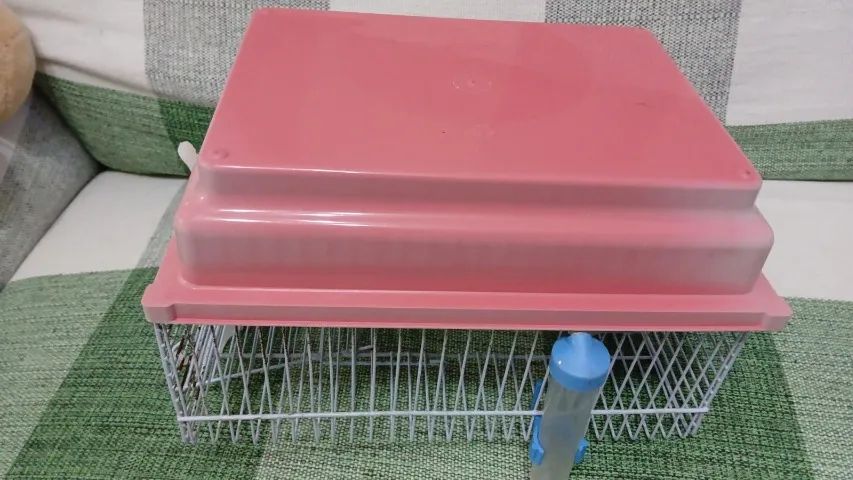 Gaiola de Hamister - Foto 5