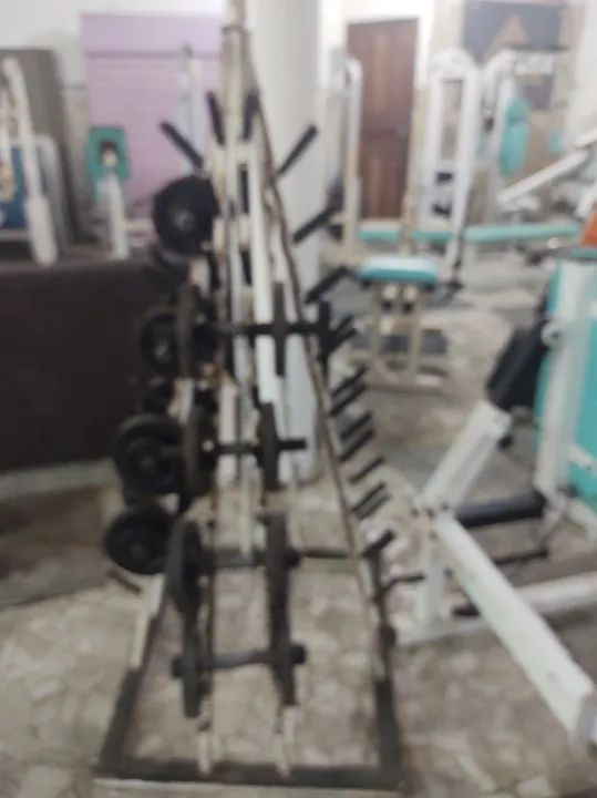 Vendo Halteres montado