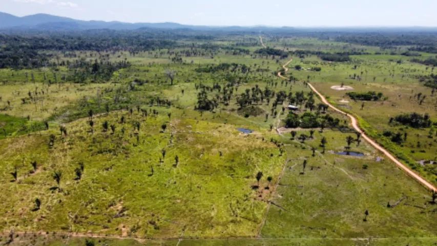 Vendo dois lotes no sul de Roraima.  - Foto 6
