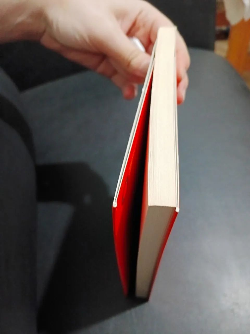 Livro: vidas secas - Foto 2