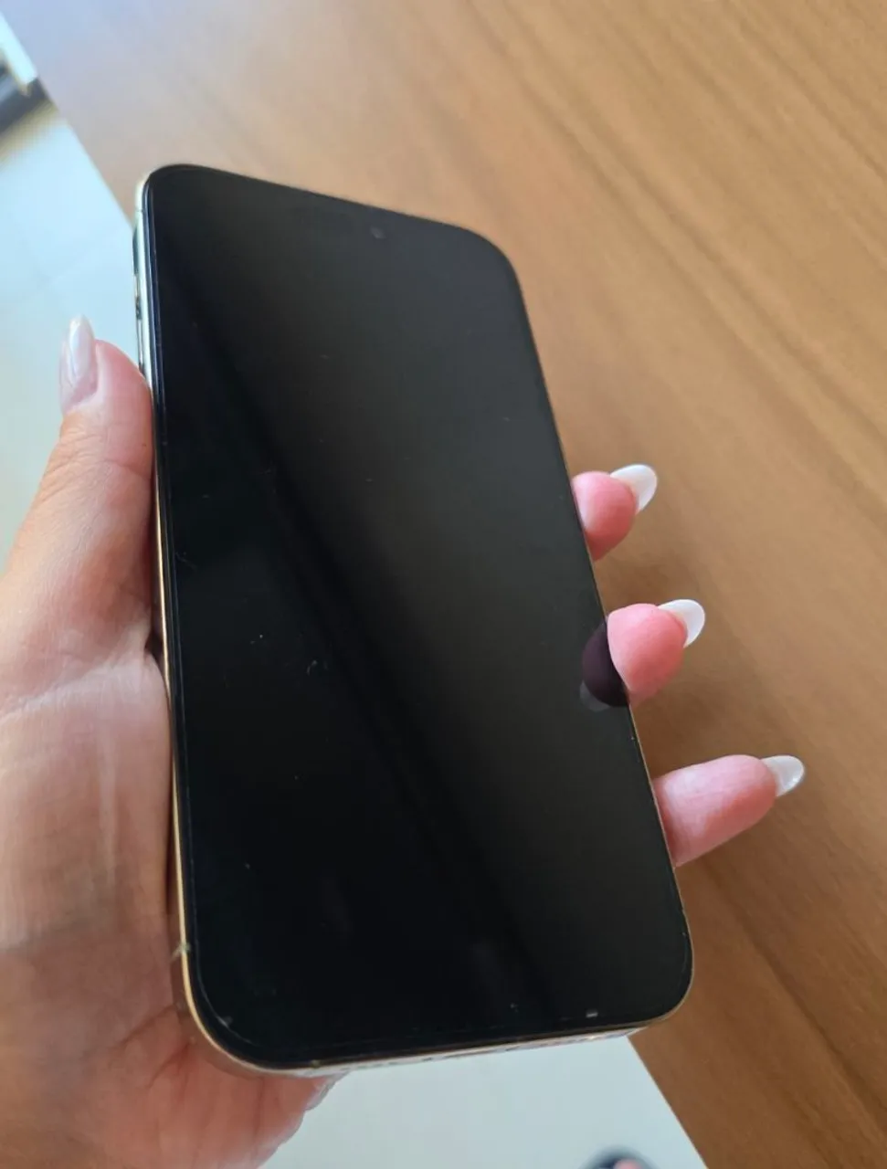 Iphone 14 PRO MAX 256GB Perfeito!