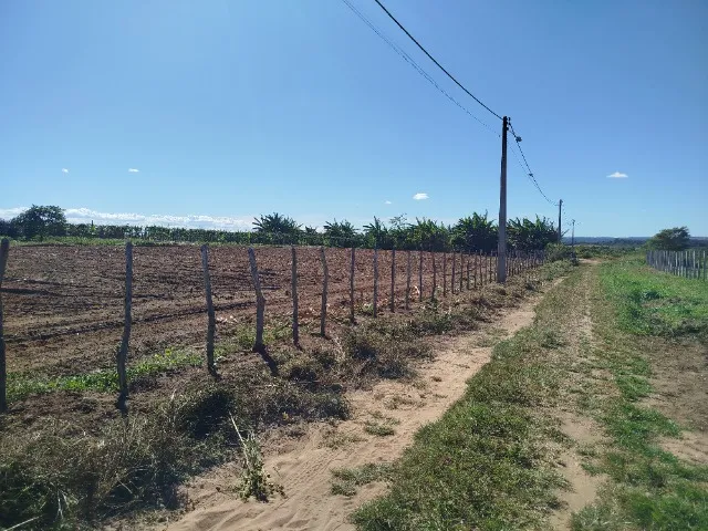 Lotes para chácara
