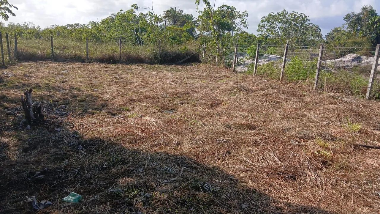 SEU REFÚGIO DE PAZ e NATUREZA: Sítio Amplo, Murado. - Foto 15