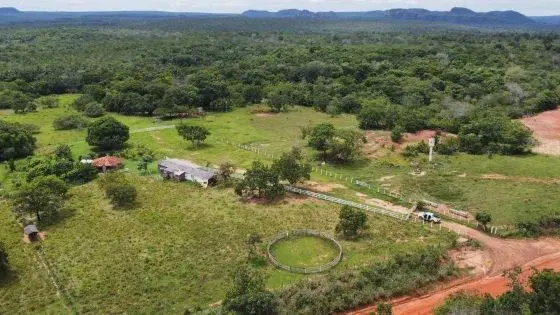 Fazenda c/ 500he, a 2km do asfalto, Agua Fria, Chapada dos Guimarães-MT