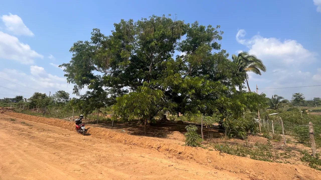 Foto - Parauapebas - 