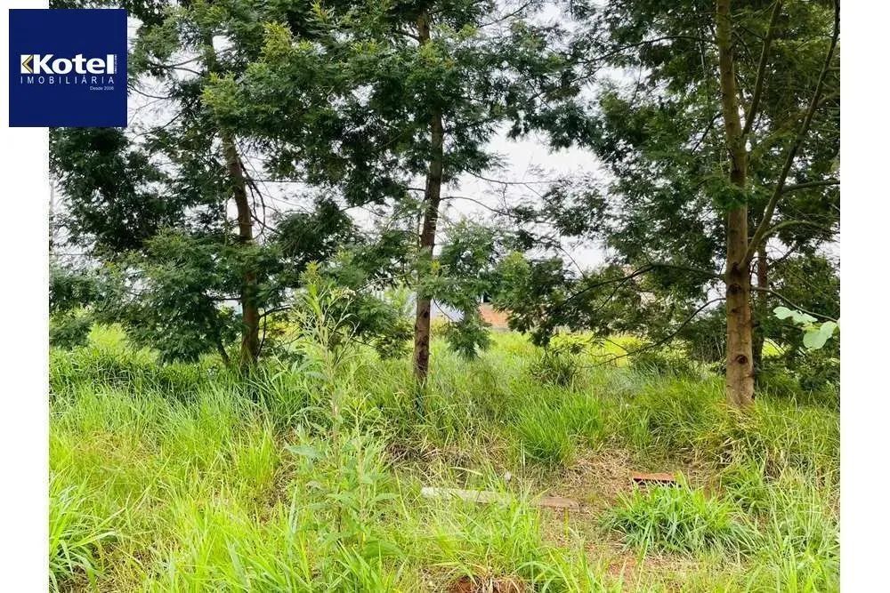 Terreno Residencial em Nova Santa Rita - Foto 3