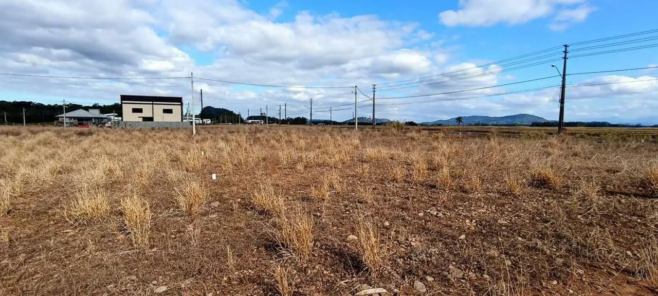 Lote em Meleiro - Centro - Meleiro/SC - Foto 4