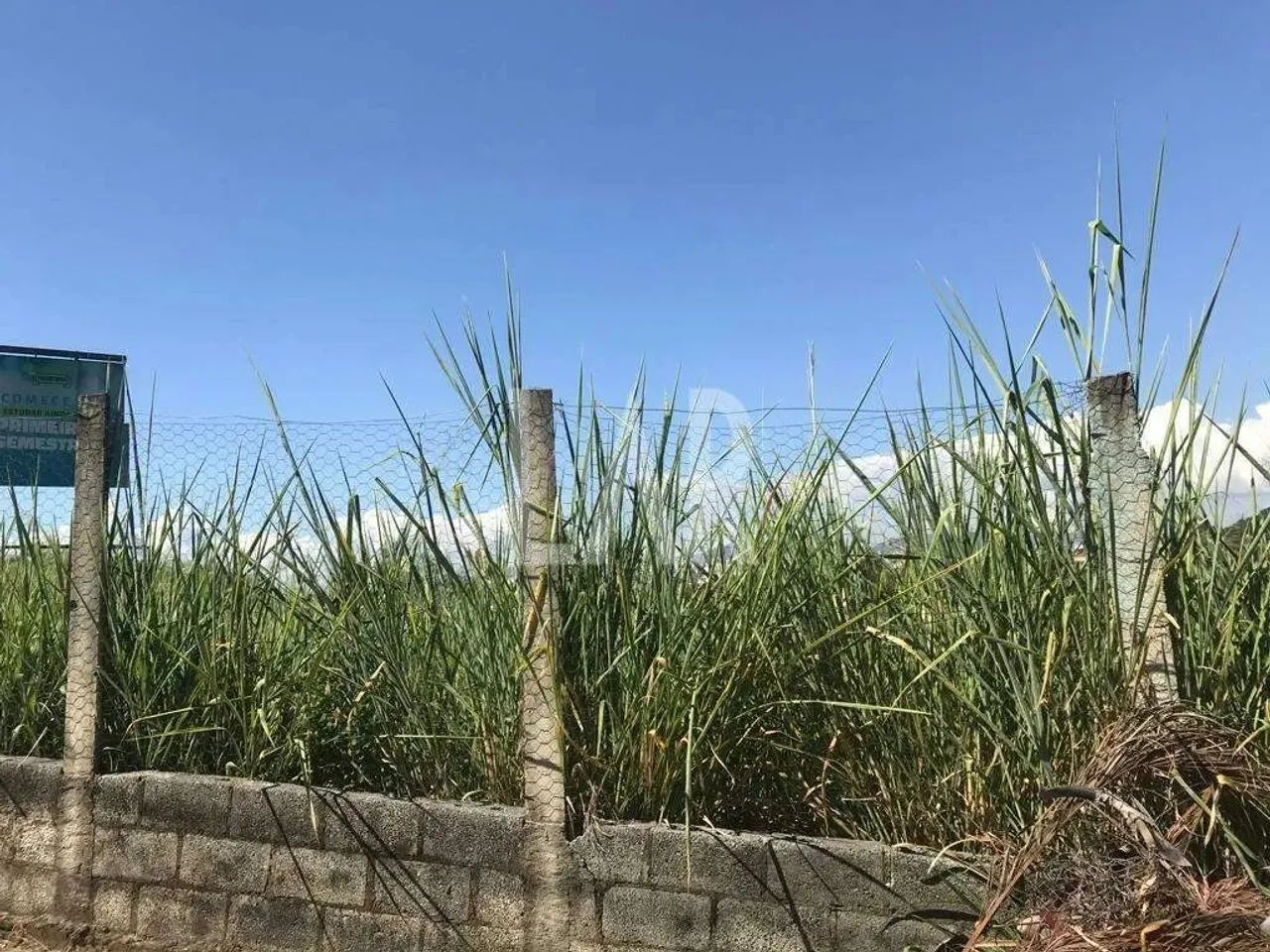 Lote - Terreno à venda, Jardim Atlântico - Belo Horizonte/MG - Foto 3