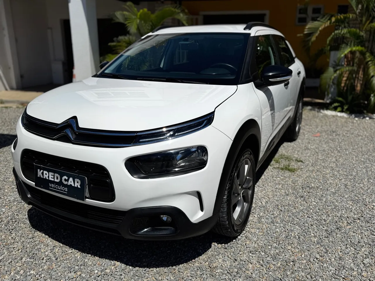 C4 Cactus 2022
