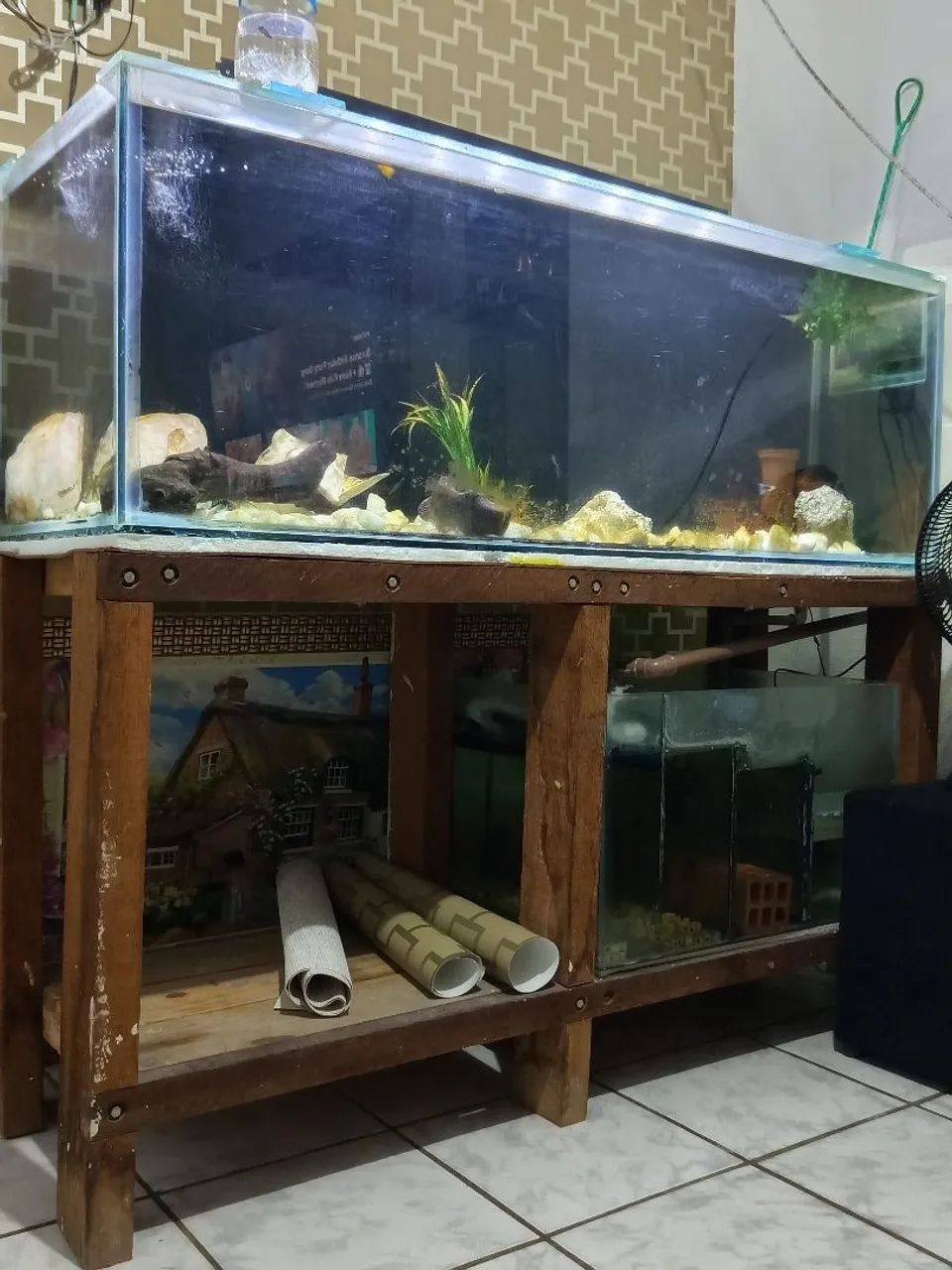 Aquário 500 litros 