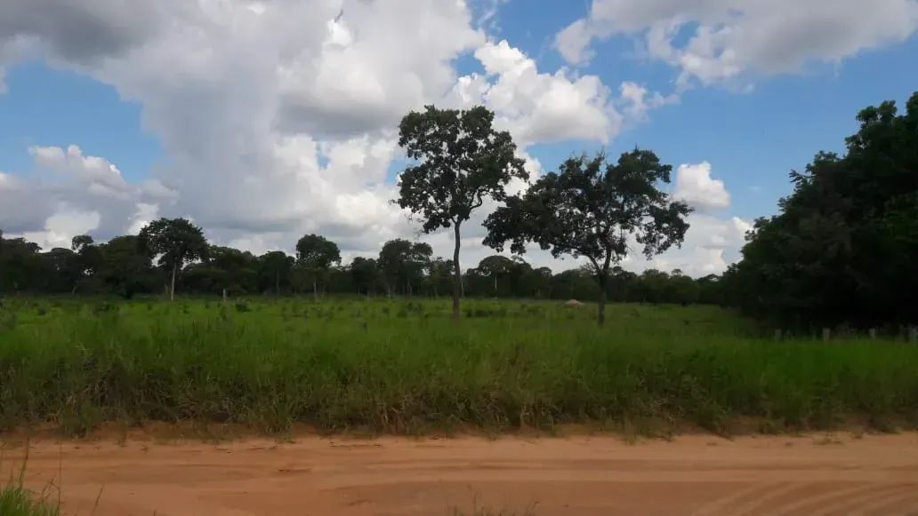 COD.576 - Chácara 75 ha | Rochedo/MS  Dupla Aptidão - Foto 3