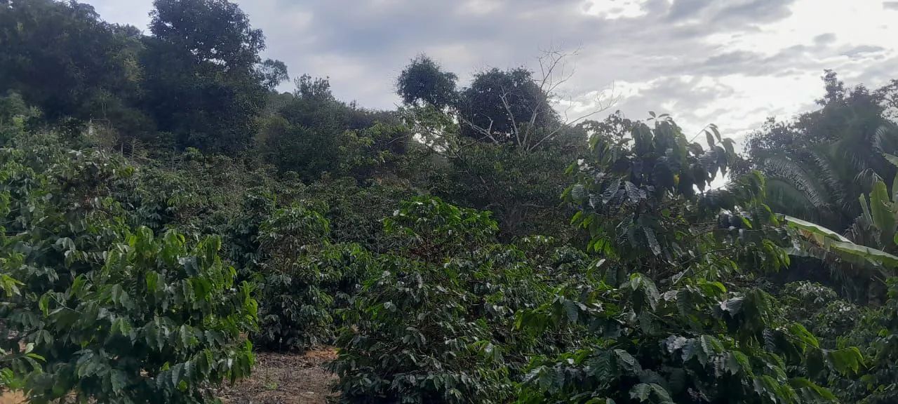 Terreno em Paraju, Domingos Martins-ES  - Foto 3