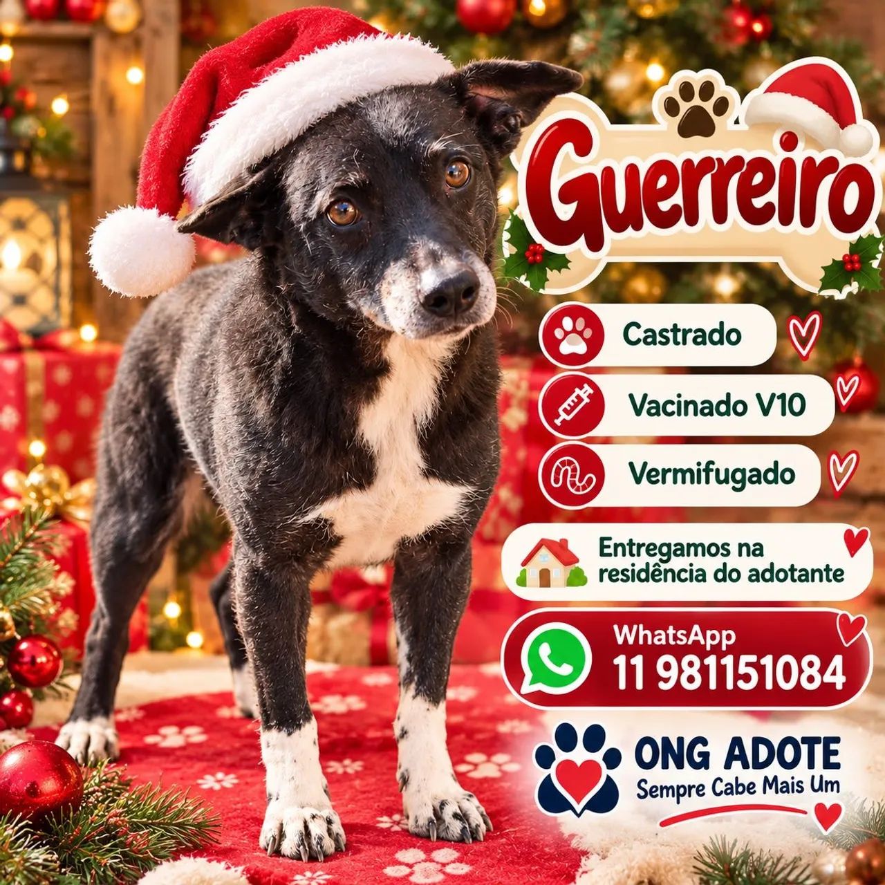Adoçâo responsável