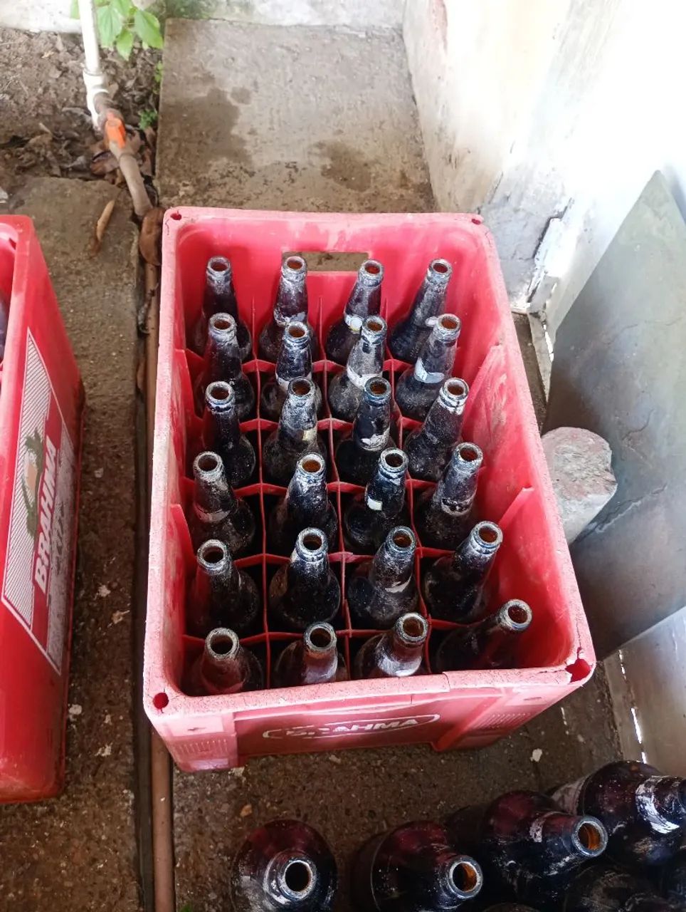 Casco de Cerveja de 600 ml. - Foto 2