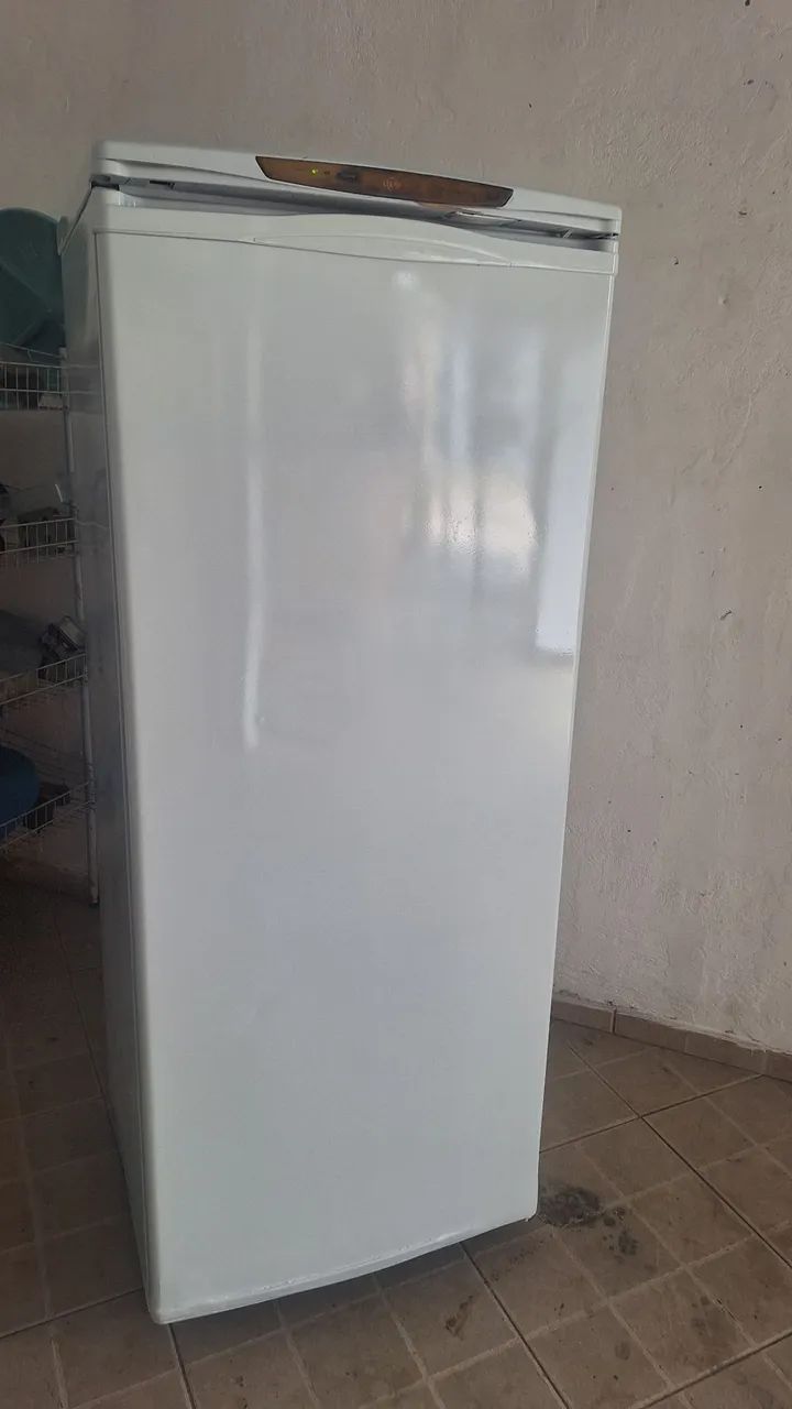 Freezer vestical 