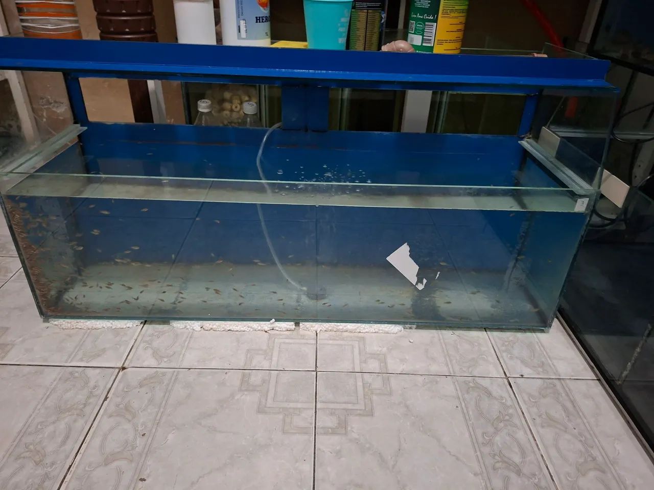 Aquário  - Foto 2